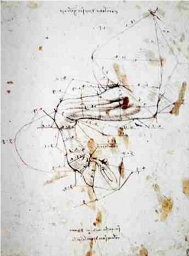 Estudo de Proporções - Leonardo da Vinci Estudo de Proporções - Leonardo da Vinci