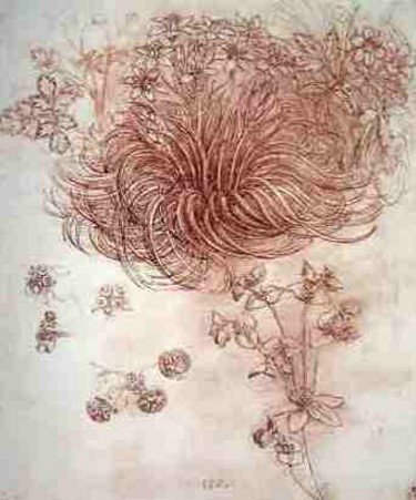 Estudo de Plantas - Leonardo da Vinci