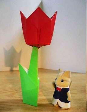 Origami Origami