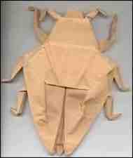 Origami Origami