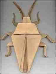 Origami Origami