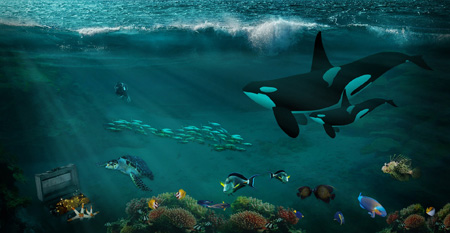 Bioma Aquático Marinho Bioma Aquático Marinho