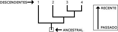Filogenia