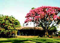 fazenda-citra-2
