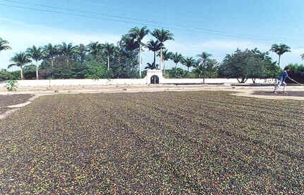 Fazenda Quilombo