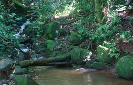 fazenda-quilombo-74