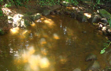 fazenda-quilombo-75