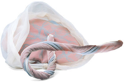Cordão Umbilical