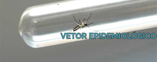 Vetor Epidemiológico