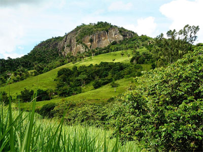 Zona da Mata