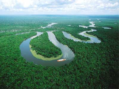 Biologia Ambiental