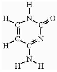citosina-1