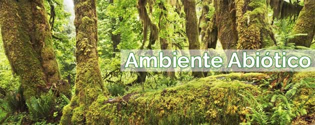 Ambiente Abiótico