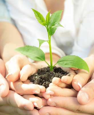Ecologia Humana
