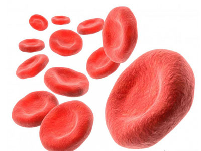 Hemoglobina