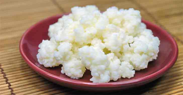 Kefir