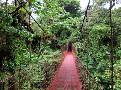 Reserva Biológica