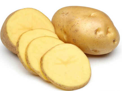 Tubérculo
