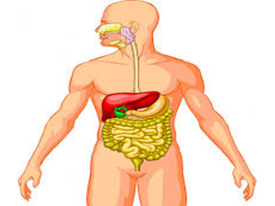 Fisiopatologia