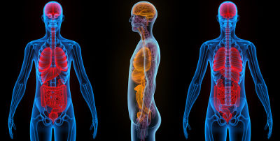 Fisiopatologia