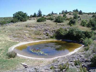 Dolina Dolina