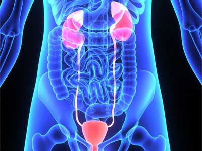 Uroscopia