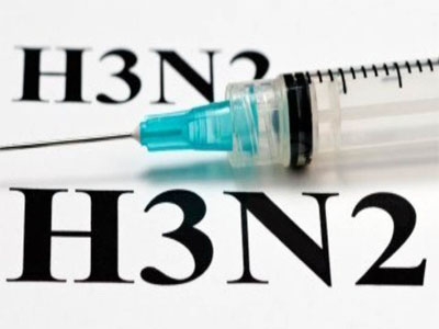 Gripe H3N2