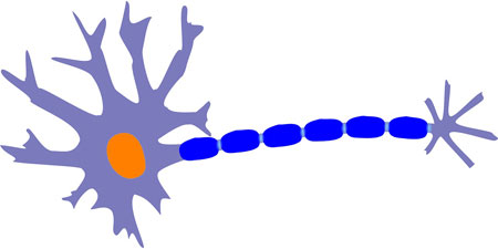 Dendritos