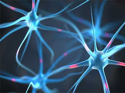Neurotoxina