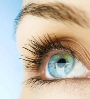 Glândula Lacrimal