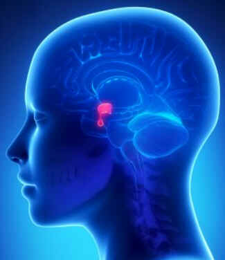 Hiperprolactinemia Hiperprolactinemia