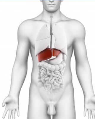 Hiperprolactinemia Hiperprolactinemia