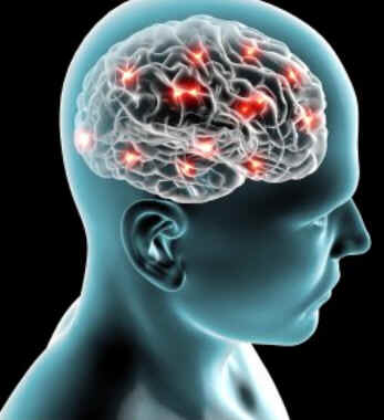 Neurofisiologia Neurofisiologia