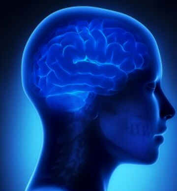Neurologista Neurologista