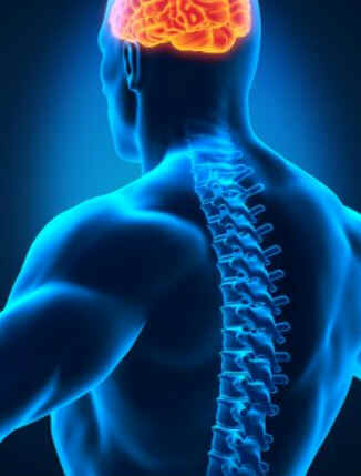 Neurologista Neurologista