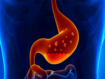 Mucosa gástrica