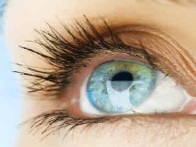 Glândula Lacrimal