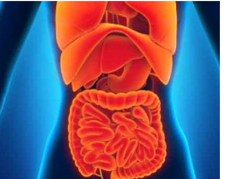 Peritônio