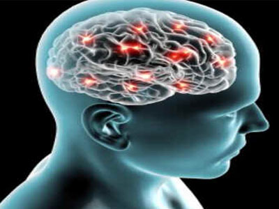 Neurofisiologia