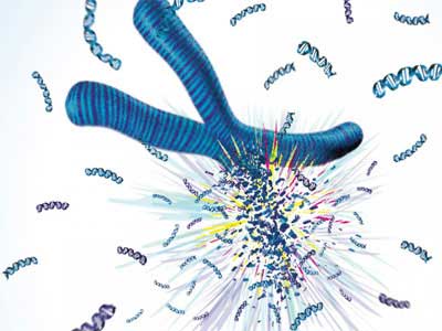 Aberrações Cromossômicas