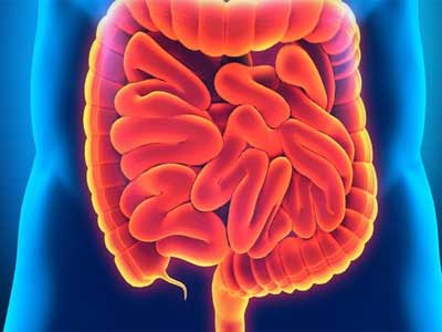 Fístula Duodenal