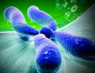 Trissomia