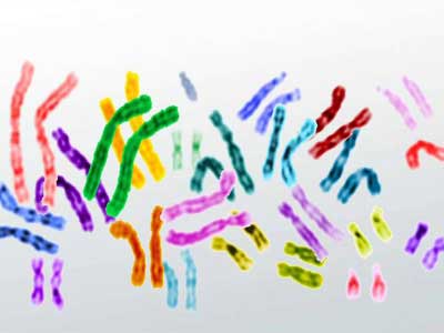 Aneuploidia
