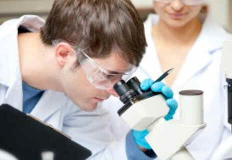 Parasitologia Parasitologia