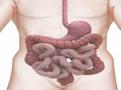 Gastroenterologia