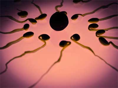Inseminação Artificial