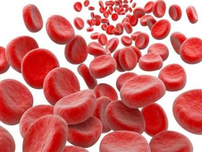 Anemia de Cooley