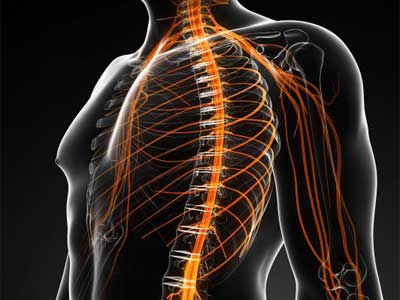 Coluna Cervical