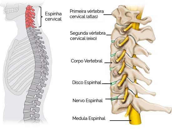 Coluna Cervical