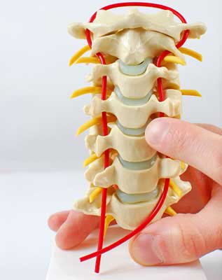 Coluna Cervical